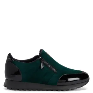 Giuseppe Zanotti Conley