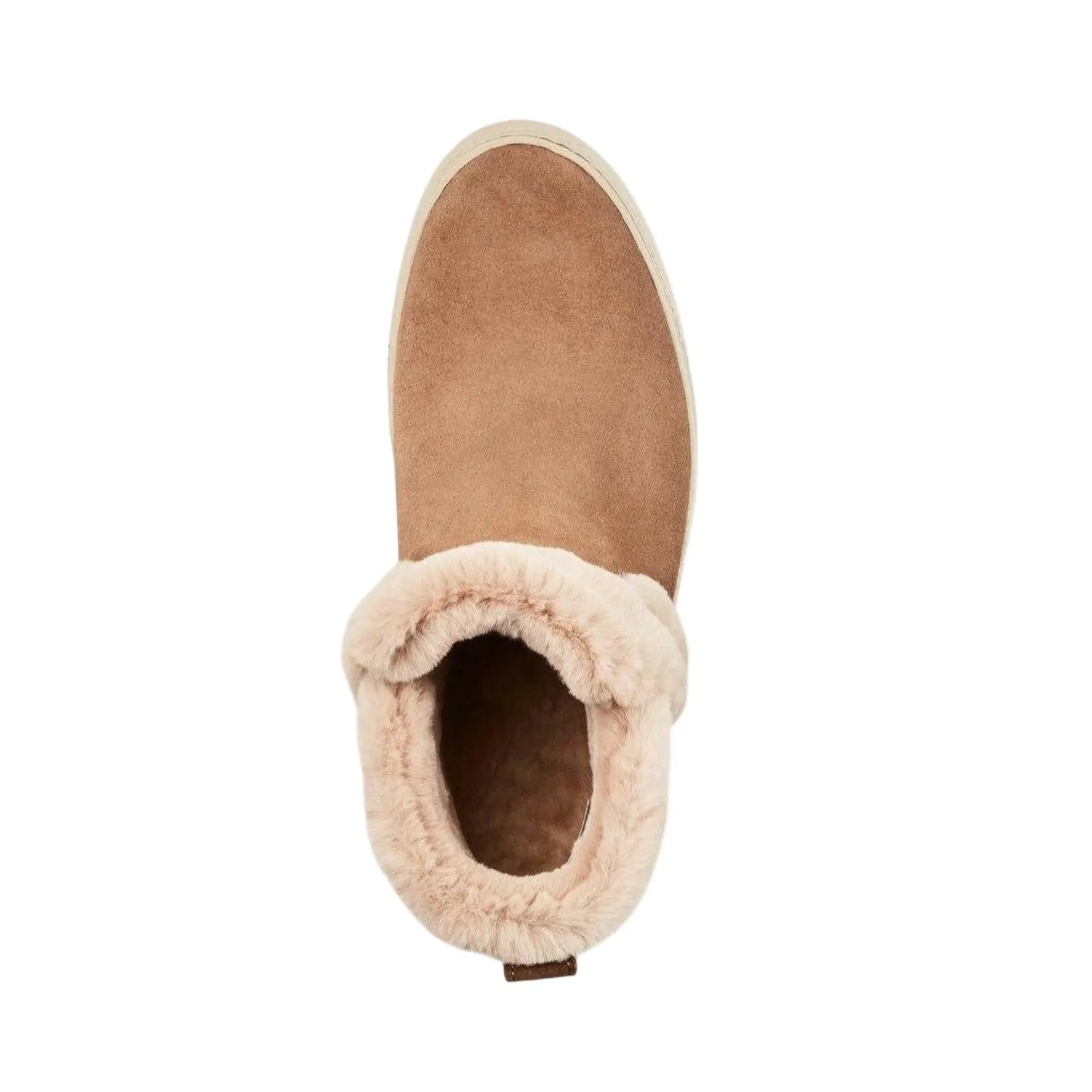 Women's Duffy Waterproof Winter Sneaker In Draft Suede
